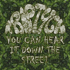 TRIPTYCH - Naming It / Dissentropy (1994) (from 'You Can Hear It Down The Street')