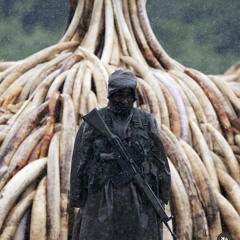 how about some peace