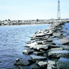 Lonely Day Cover Remix (Prod. Ezhdee)