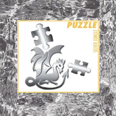 spot on - puzzle
