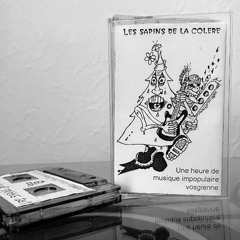 Les Sapins de la Colère (compilation punk vosgien '94)