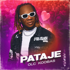 01 PATAJE