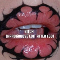 Bitch (Hardgroove After Ego edit)