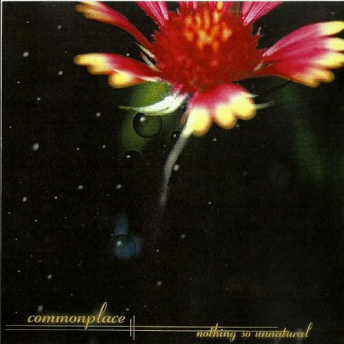 Commonplace - Snowglobe