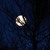 Artwork for A Moon Piece