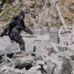 Big Foot