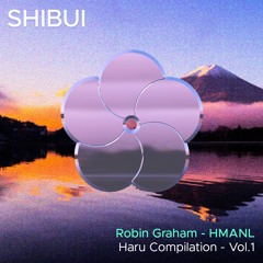 PremEar: Robin Graham - HMANL [BANDCAMP]