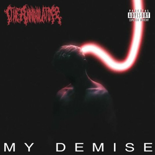 MY DEMISE