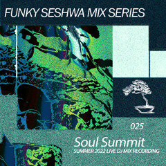 Seshwa Mix Series 025: Soul Summit Music Summer '22 Live Mix