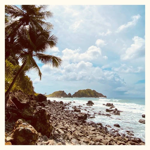 LoFi Bossa Nova Jazz / Bossa Jazzhop / Lo-fi Latin Jazz