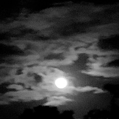 Patient + prod.Saint Mike