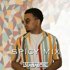 STANN - Spicy Mix
