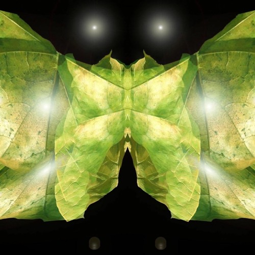 Leaflight