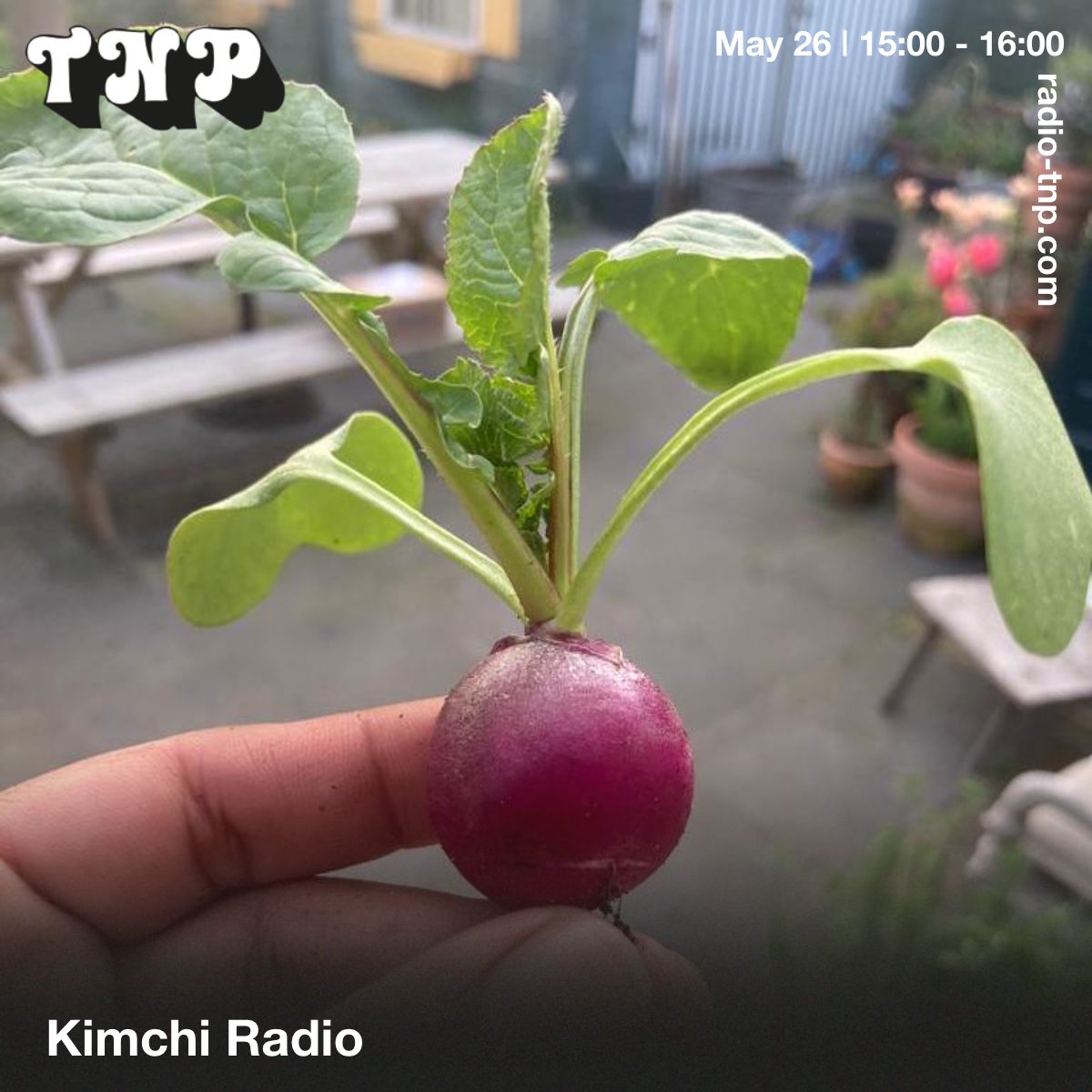 Kimchi Radio