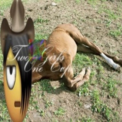 bloodsports (feat. 2op2od) (prod. by astoriaBLVD mixed by stanley earl)