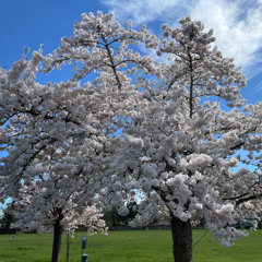 Eager for Spring