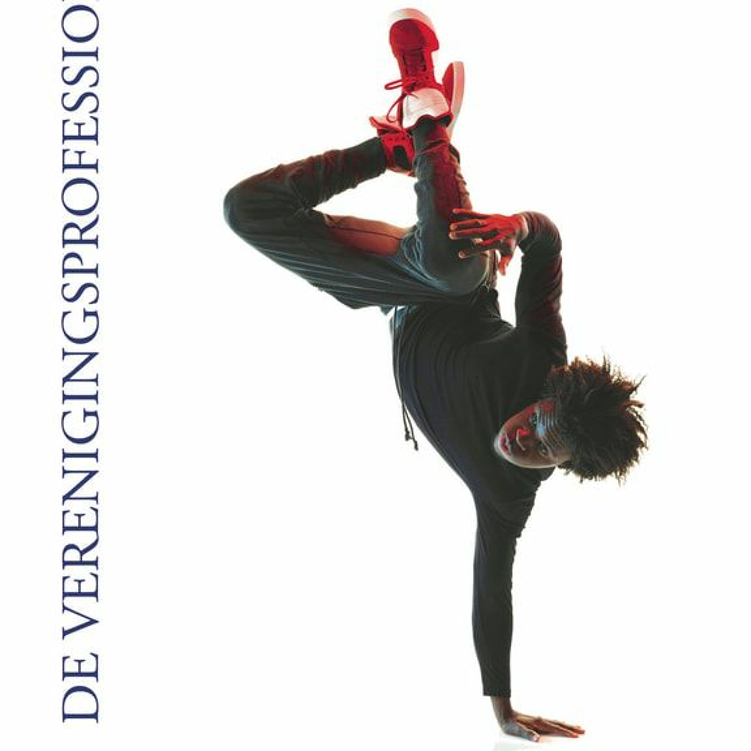 VP de Verenigingsprofessional