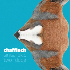 Sinisa Lukic & Two Dude - chaffinch // howifeel rec.