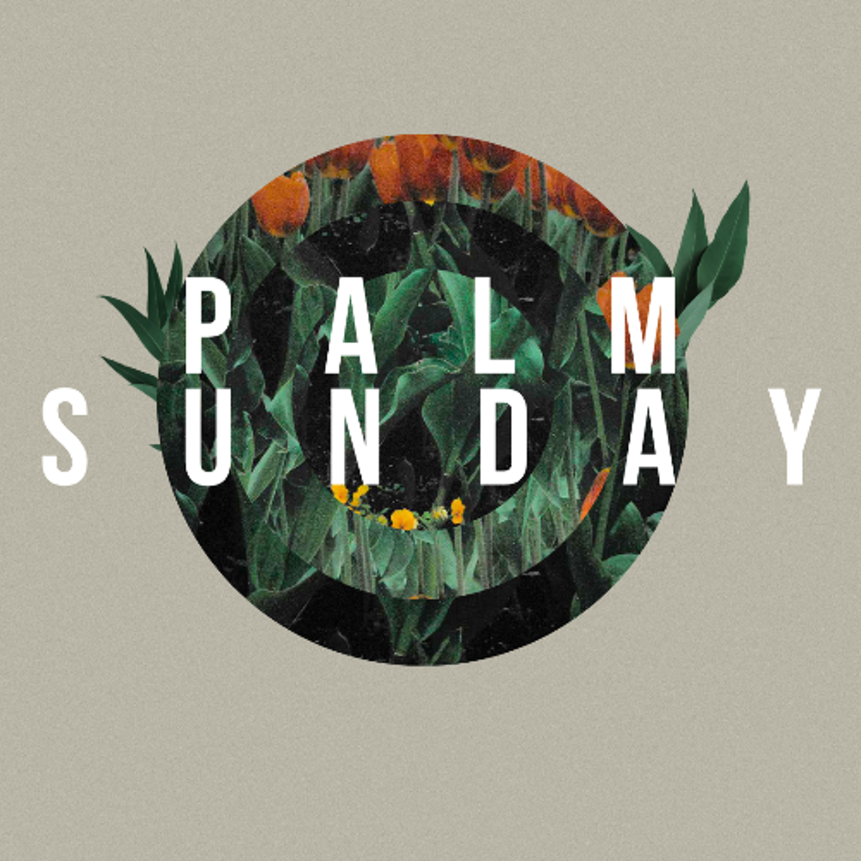 Sunday 29th March // Palm Sunday