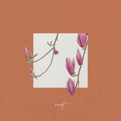 Middle of the Mystery (feat. Trumpet Pete)