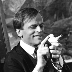 DER STAUBIGE ZAUBERER - Einen Vogel haben