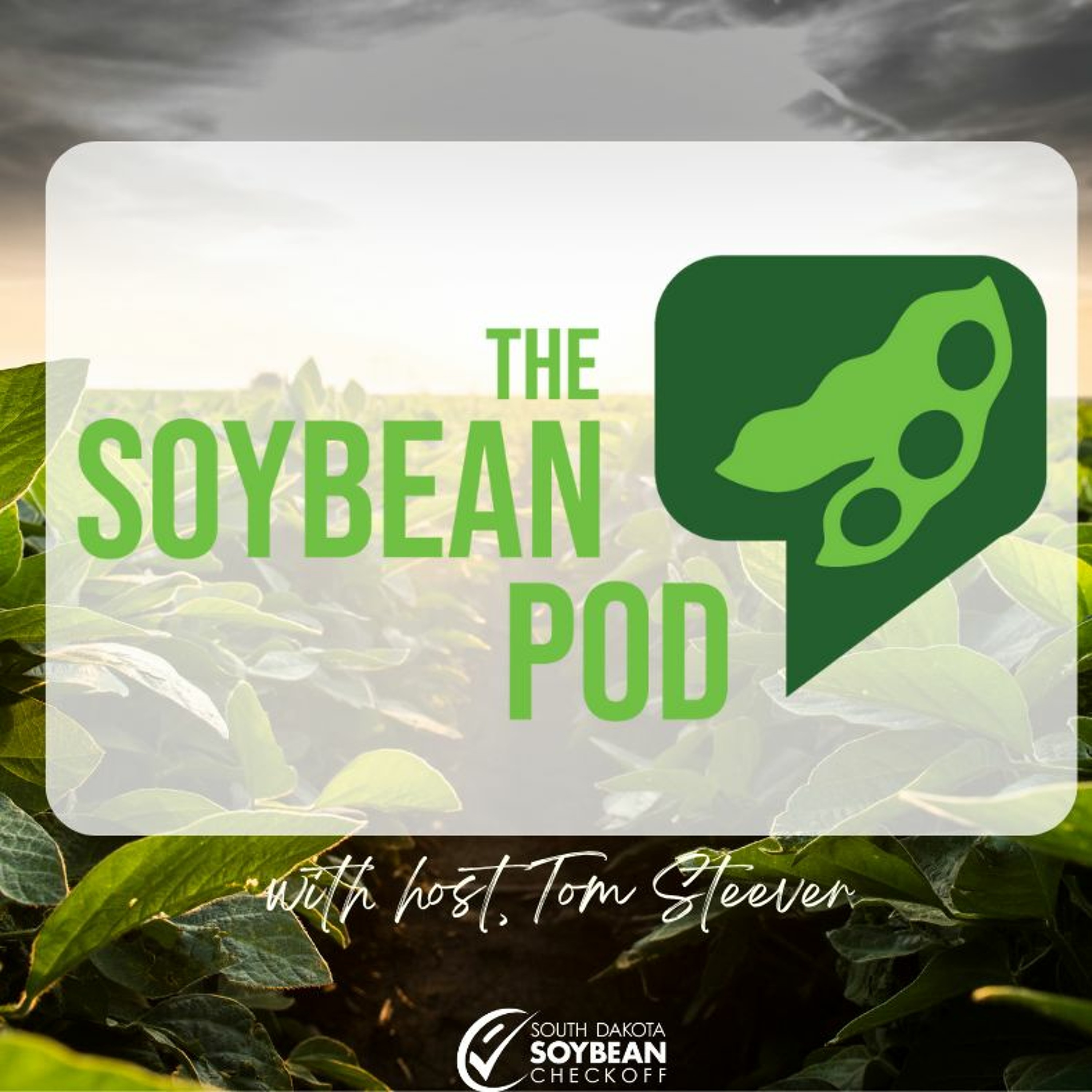 Renewable diesel, sustainable aviation fuel and impacts on livestock production with Dr. Bob Thaler episode artwork