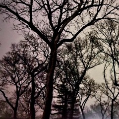 Deep Conjuring II - Demo (undressed) - Dark Visions - Erick McNerney