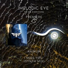 PREMIERE: Animum - I Miss You (Synth Mix) [Ciccada Records]