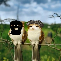 BLVCKHOUND B2B STRAB @ DNA LOUNGE