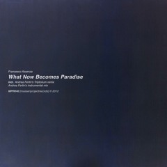 What Now Becomes Paradise (Andrea Ferlin&#39;s instrumental mix)