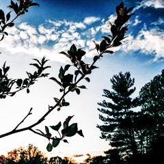 Welcome & Thursday Morning