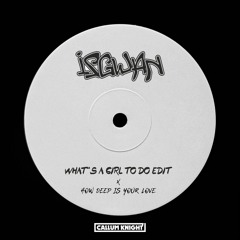 IsGwan vs Calvin Harris & Disciples - How Deep Is Your Love x WAGTD (Callum Knight Mashup)