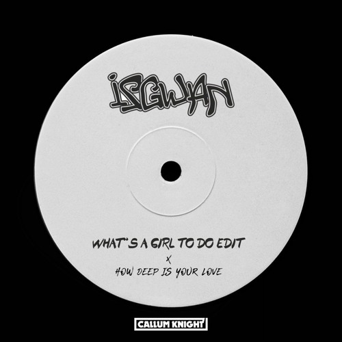 IsGwan vs Calvin Harris & Disciples - How Deep Is Your Love x WAGTD (Callum Knight Mashup)