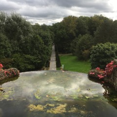 Out Of Love (toto) - 16 - 02 - 2020 21.22