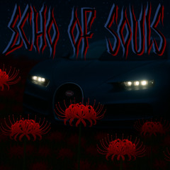 ECHO OF SOULS