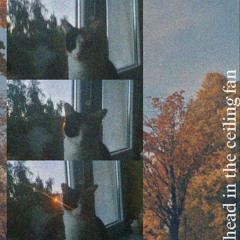 head_in_the_ceiling_fan_cover.wav