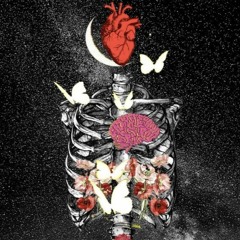 CTHLT ? - BABY $MOKE (Mixing & mastering : BACH/YYY)