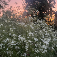 stranger things have happened