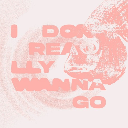 I Don't Really Wanna Go