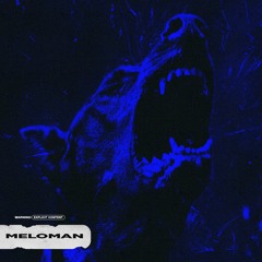 DEWENSOON & БОДЯ МИР642-MELOMAN