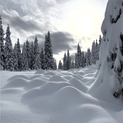 Feel Good Winter Solstice Part 2