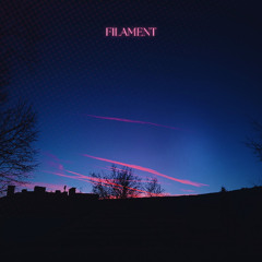 Filament