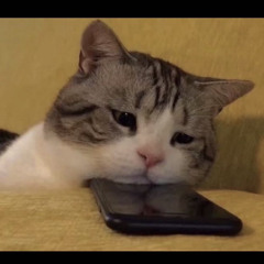 Taylor Swift - Enchanted Best Part