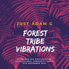 Forest Tribe Vibrations - Psytrance mix for Kahal Global Community Radio Show