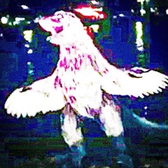 la mouche, le piaf et le chien