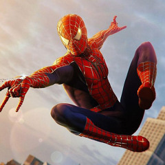 Spider-Man Trilogy Mash-up