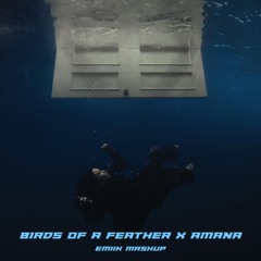Birds Of A Feather X Amana (Emiik Mashup)