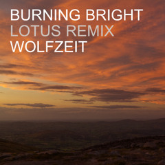 Burning Bright (Lotus Remix) [Free DL]