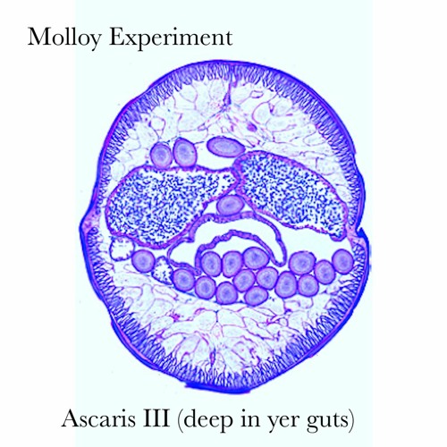 ASCARIS:Deep In Yer Guts