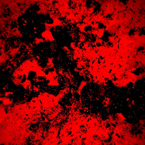 yo where the afters at (Free DL)